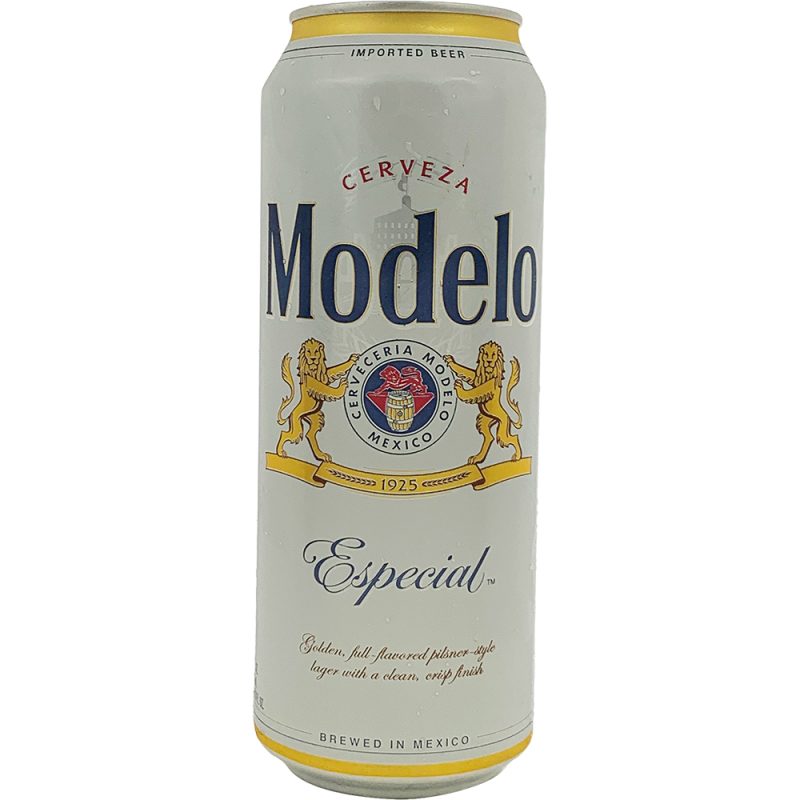 MODELO ESPECIAL NR